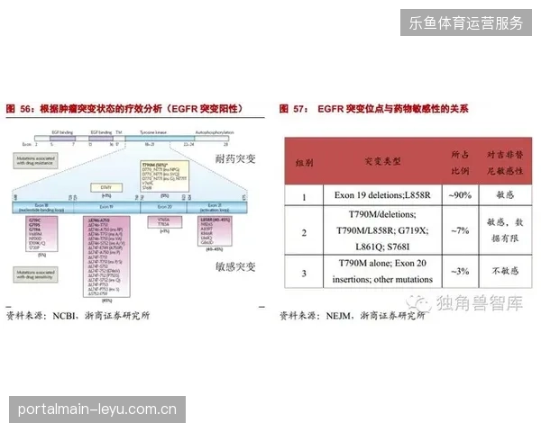 赛事医疗数据跨院实时接入不仅是技术指标对齐，更是生命救援的抢跑